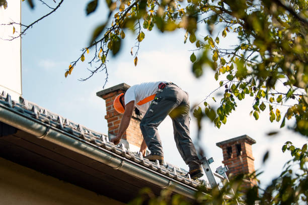 Best Local Roofing Companies  in Newington, VA