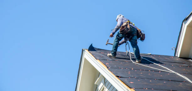 Best Roof Gutter Cleaning  in Newington, VA